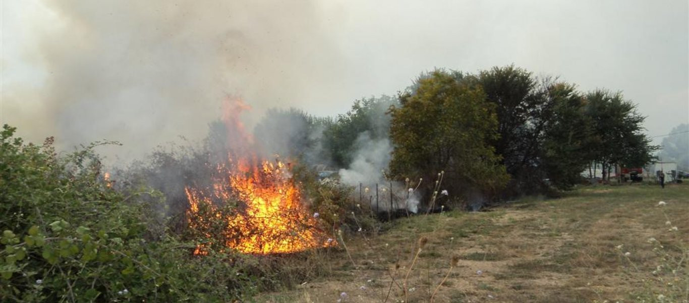 Λάρισα: Σε εξέλιξη φωτιά σε θερμοκήπιο στο Κιλελέρ